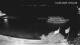 Huvahendhoo (Atoll d'Ari) 14.06.2025 20:08