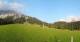 Ehrwald 08.06.2025 20:10