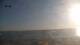 Carvalhal 06.07.2025 20:01