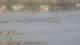 Balaruc-les-Bains 30.04.2025 20:11