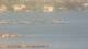 Balaruc-les-Bains 03.07.2025 20:11