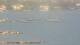 Balaruc-les-Bains 14.06.2025 20:11