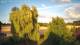 Mandelsloh 09.07.2025 20:12