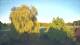 Mandelsloh 10.05.2025 20:12