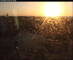 Langeoog 10.05.2025 20:48