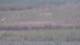 Les Landes-Genusson 14.06.2025 20:16