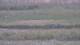 Les Landes-Genusson 08.05.2025 20:16