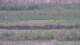 Les Landes-Genusson 08.05.2025 20:16