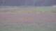 Les Landes-Genusson 14.06.2025 20:16