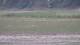 Les Landes-Genusson 16.03.2025 20:17