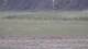 Les Landes-Genusson 10.05.2025 20:16