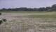 Les Landes-Genusson 15.03.2025 20:17
