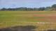 Les Landes-Genusson 04.07.2025 20:16