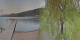 Annenheim 08.06.2025 20:59