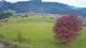 Abtenau 29.04.2025 20:17
