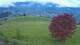 Abtenau 22.03.2025 20:17