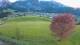 Abtenau 29.04.2025 20:17