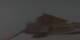 Arosa 19.03.2025 20:59