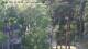 Jurmala 14.06.2025 20:18