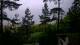Narva-Jõesuu 08.06.2025 20:18