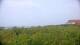 Zuydcoote 08.06.2025 20:19