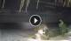 Bwejuu (Sansibar) 08.06.2025 20:20