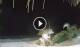 Bwejuu (Zanzibar) 29.04.2025 20:21