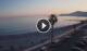 Ventimiglia 30.04.2025 20:21