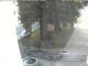 Neukirchen b.Hl.Blut 15.07.2025 20:29