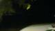 Le Morne 30.04.2025 20:22