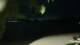Le Morne 22.03.2025 20:22