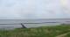 Nebel (Amrum) 08.06.2025 20:23