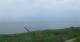 Nebel (Amrum) 04.07.2025 20:23