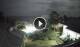 Anse Parnel (Mahé) 08.06.2025 20:24