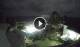 Anse Parnel (Mahé) 07.07.2025 20:24