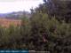 Bologne 14.06.2025 20:25