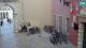 Rovigno 14.06.2025 20:27