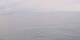 AIDAbella 20.06.2025 20:49