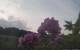 Montbliart 08.06.2025 20:28