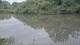 Les Landes-Genusson 14.06.2025 20:28