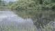 Les Landes-Genusson 12.05.2025 20:28