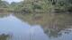 Les Landes-Genusson 11.06.2025 20:28