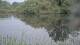 Les Landes-Genusson 08.05.2025 20:28