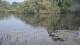 Les Landes-Genusson 29.04.2025 20:28