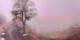 Lourdes 02.07.2025 20:28