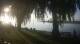 Port Franks 01.07.2025 20:28