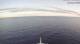 AIDAcosma 08.05.2025 20:29