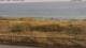 El Palmar de Vejer 11.05.2025 20:30