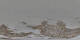 St. Moritz 20.04.2025 20:29