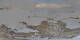 St. Moritz 08.05.2025 20:29